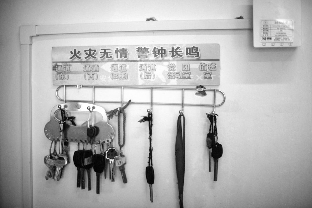 40 Jenis Alat Berat yang Penting untuk Konstruksi dan Industri