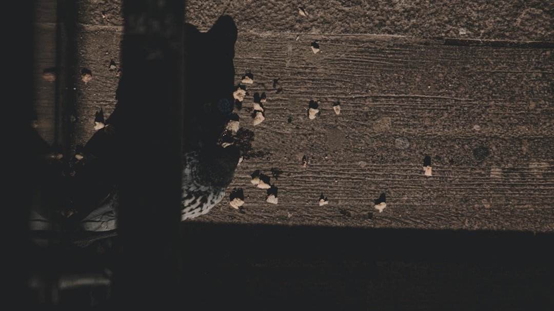 Dv188 Slot Dana: Panduan Lengkap dan Tips Bermain