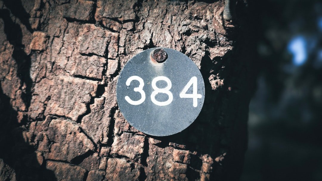 dv188 Slot Dana: Panduan Lengkap untuk Pengguna Baru